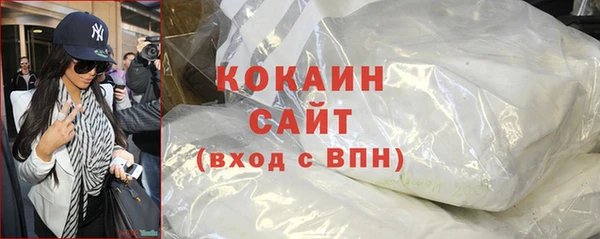 индика Осташков