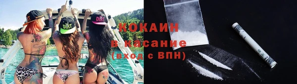 индика Осташков