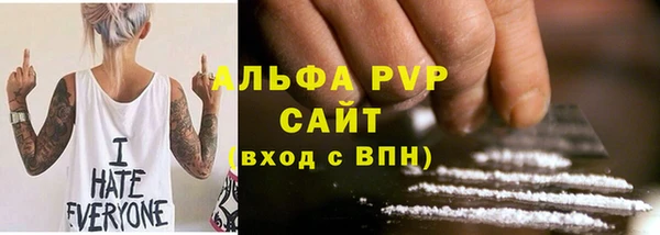 индика Осташков