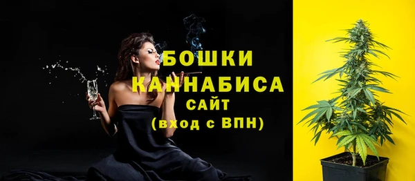 индика Осташков