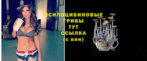 первитин Осинники