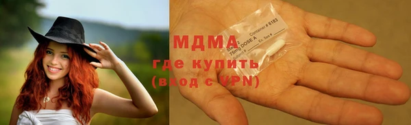 индика Осташков