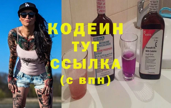 индика Осташков