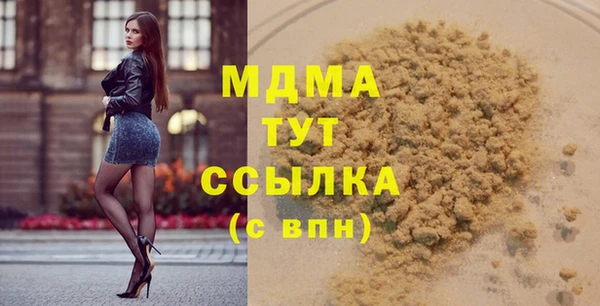 индика Осташков
