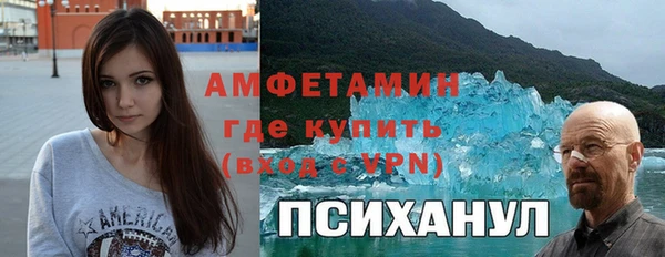 индика Осташков